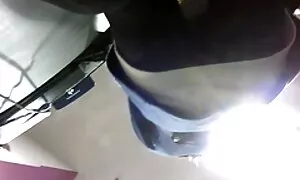 മേലങ്കി, വലിയ കഴുത,  ...